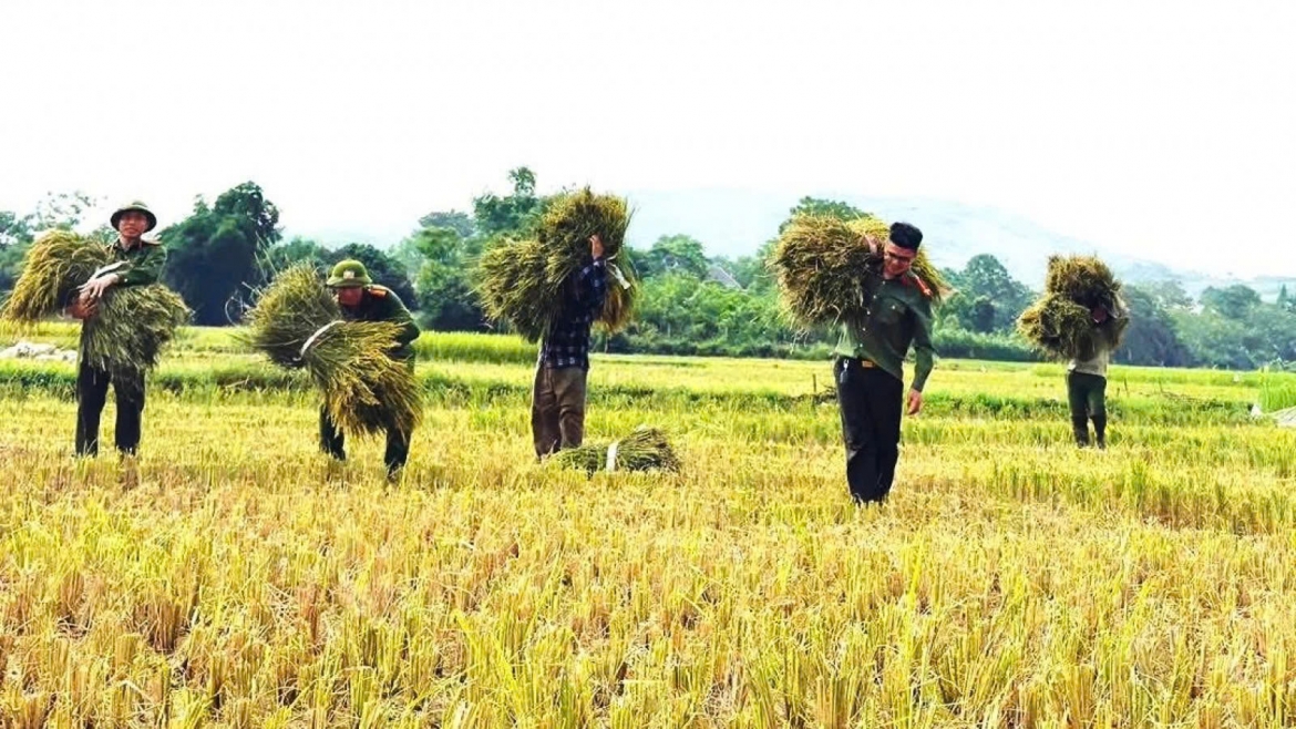 When police officers head to the field to lend a helping hand to farmers